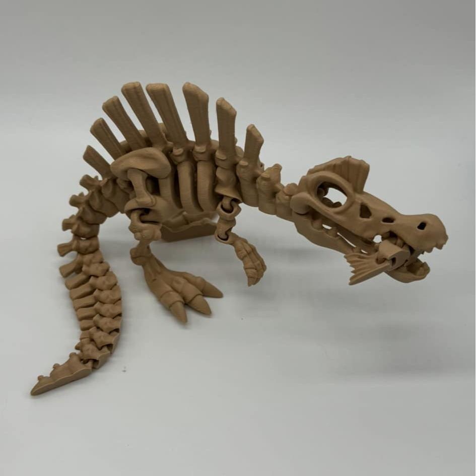 Skeleton Dinosaurs 3D Printed Home Decor TRex Spinasaurus Triceratops Stegosaurus