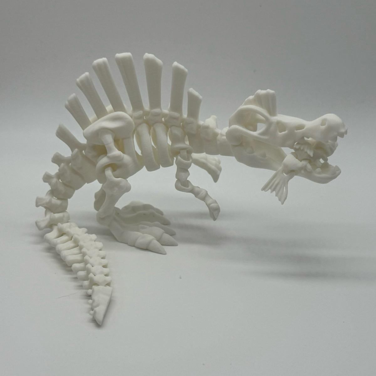 Skeleton Dinosaurs 3D Printed Home Decor TRex Spinasaurus Triceratops Stegosaurus