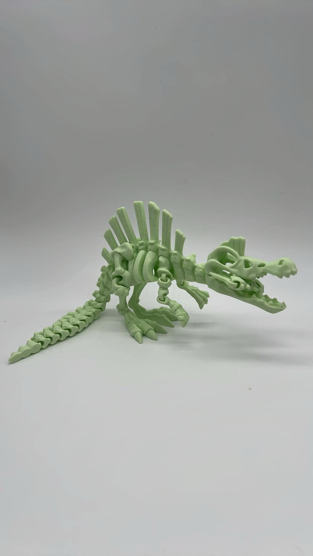 Skeleton Dinosaurs 3D Printed Home Decor TRex Spinasaurus Triceratops Stegosaurus