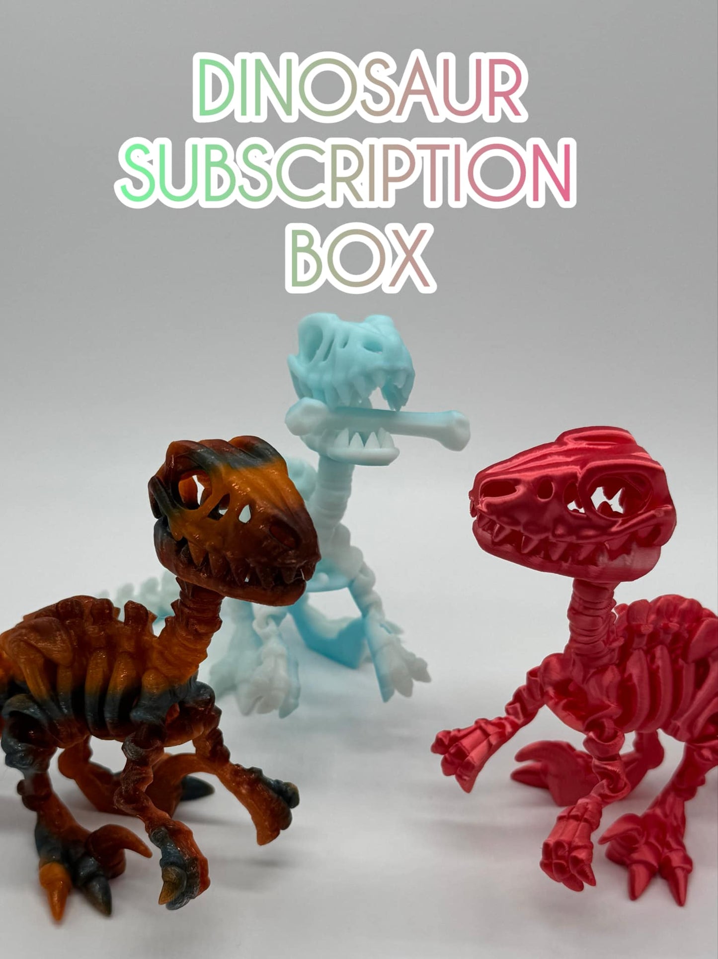 Dinosaur Monthly Subscription Box