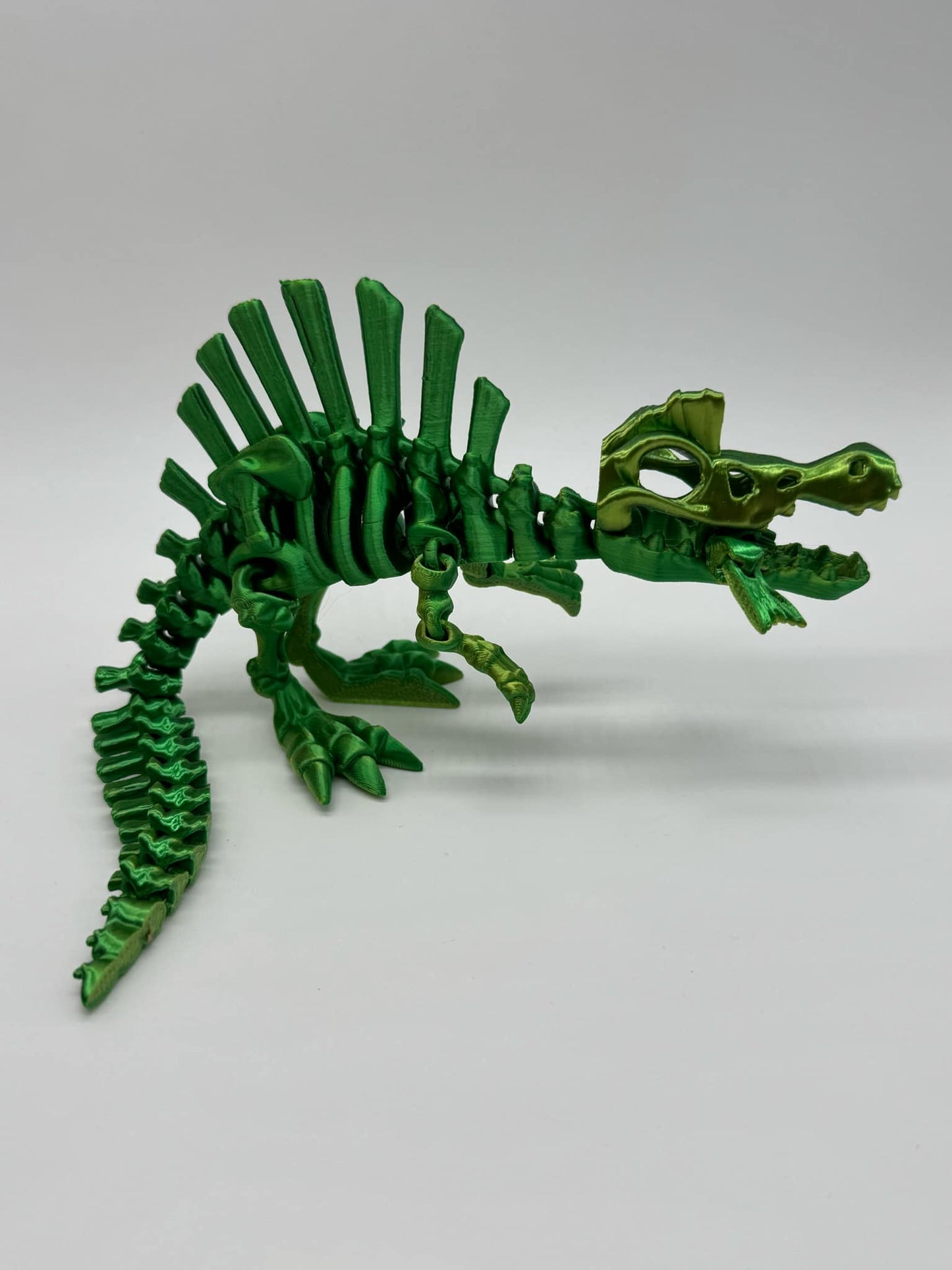 Skeleton Dinosaurs 3D Printed Home Decor TRex Spinasaurus Triceratops Stegosaurus