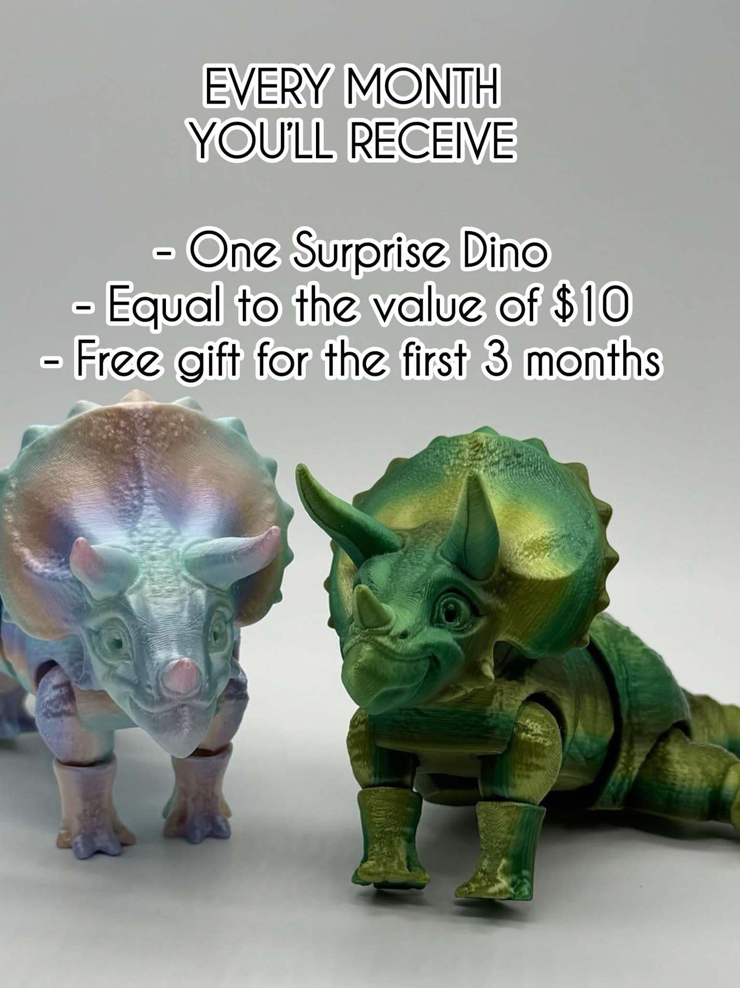 Dinosaur Monthly Subscription Box