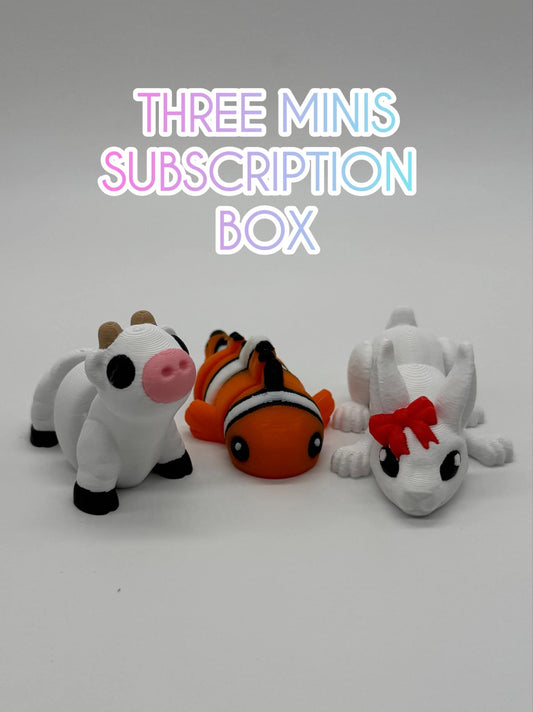 Mini Monthly Subscription Box