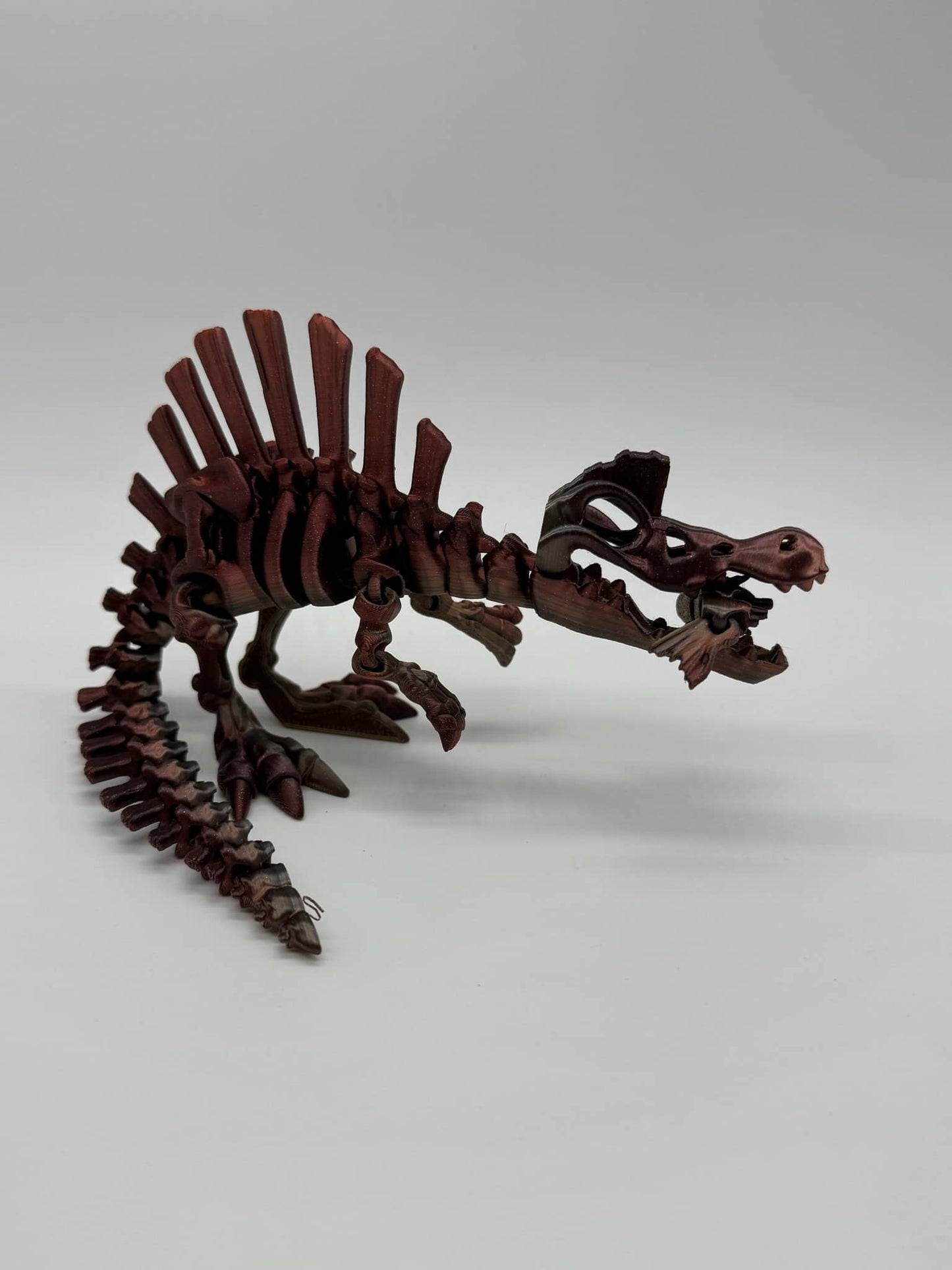 Skeleton Dinosaurs 3D Printed Home Decor TRex Spinasaurus Triceratops Stegosaurus