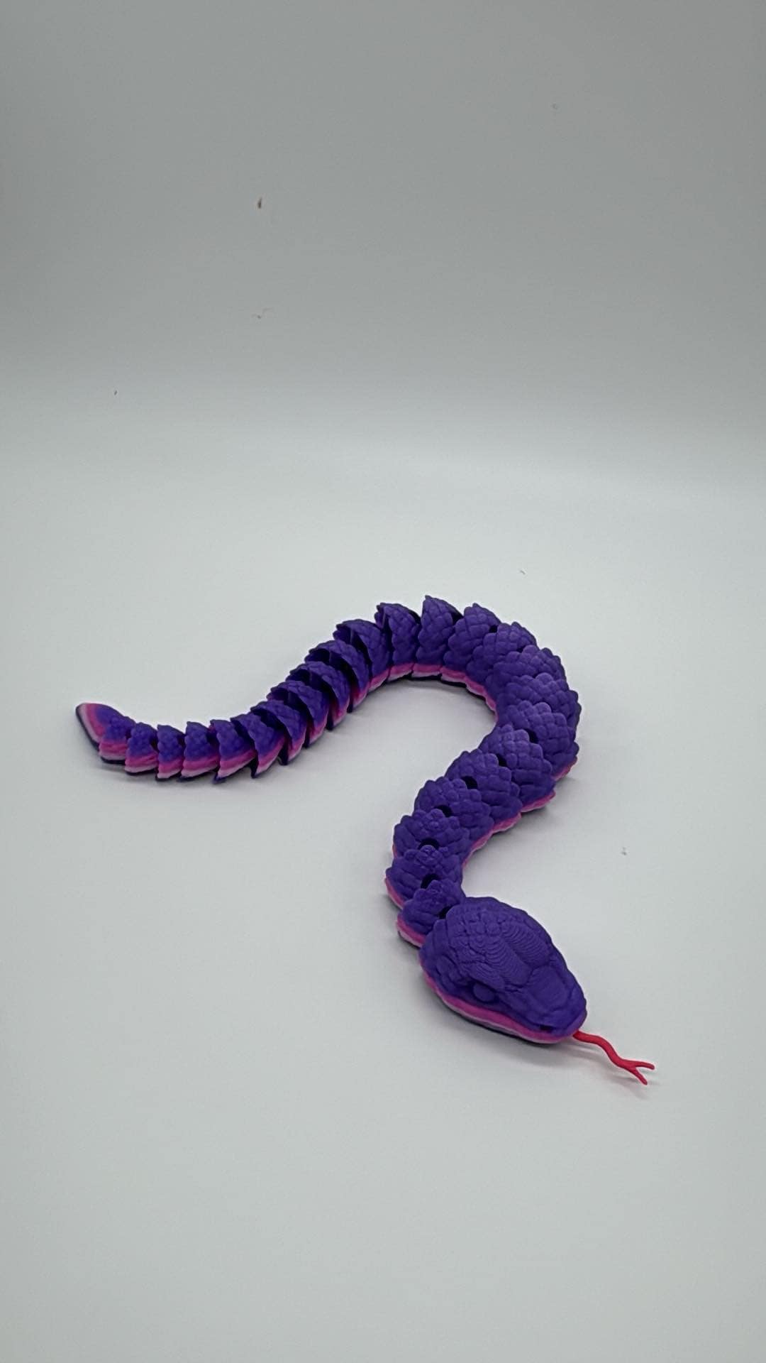 Snake and Rattlesnake 3D Printed Home Decor