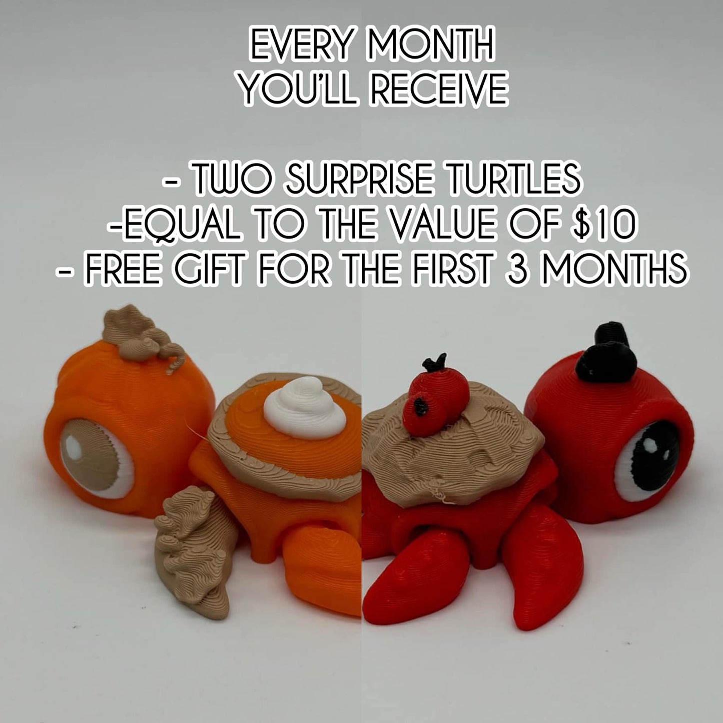 Monthly Turtle Subscription Box