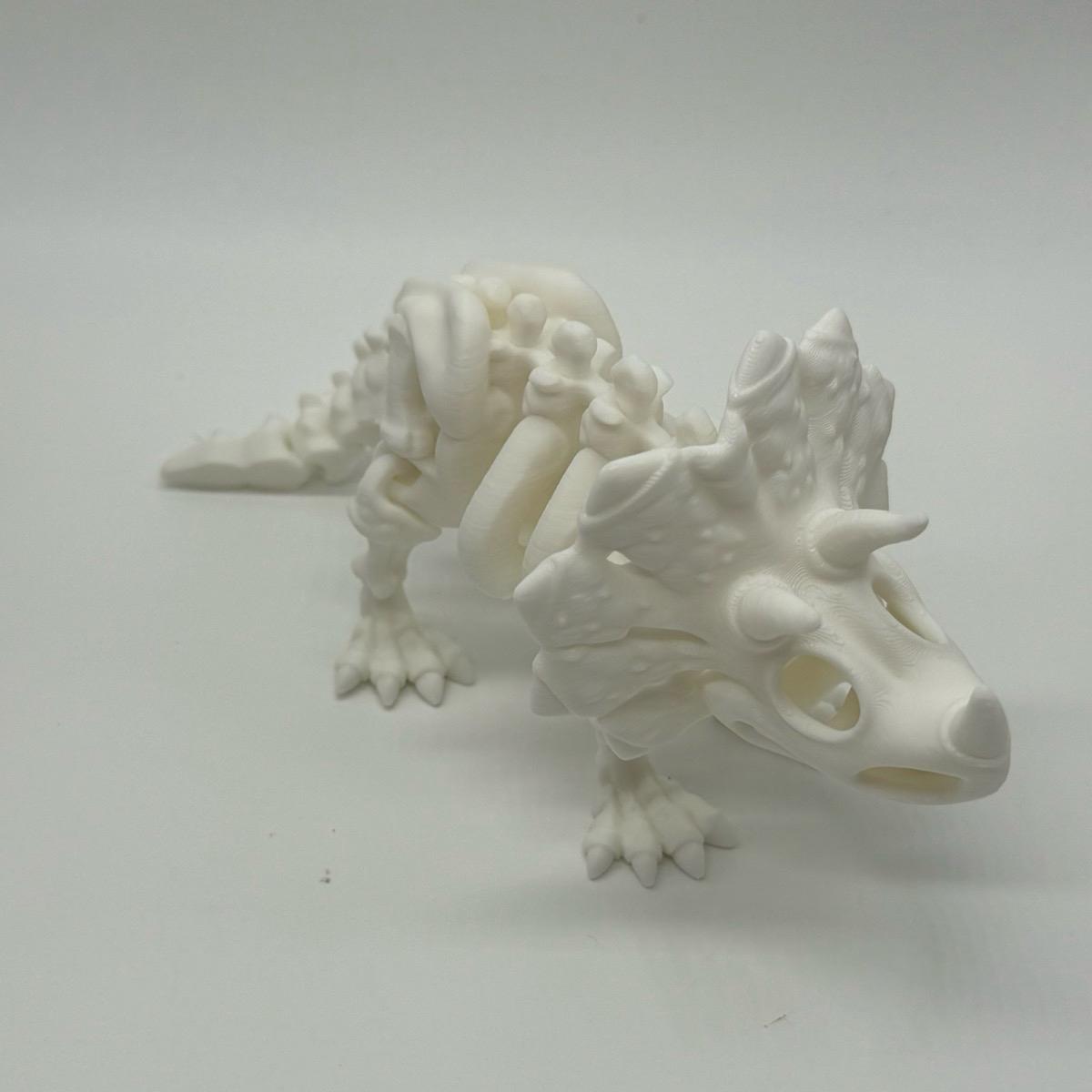 Skeleton Dinosaurs 3D Printed Home Decor TRex Spinasaurus Triceratops Stegosaurus